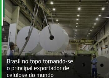 BRASIL ALCANÇA LIDERANÇA ABSOLUTA, TORNANDO-SE O PRINCIPAL EXPORTADOR DE CELULOSE DO MUNDO